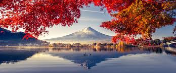 Nature for clients
